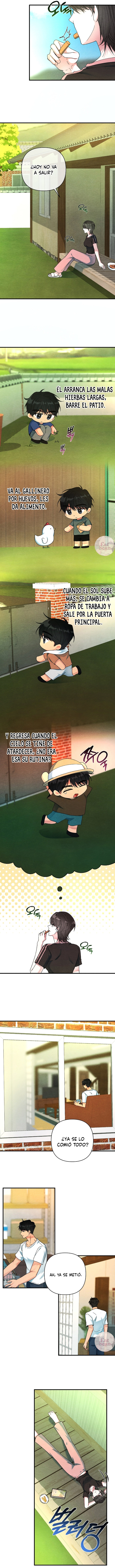 5 A mi albaricoquero