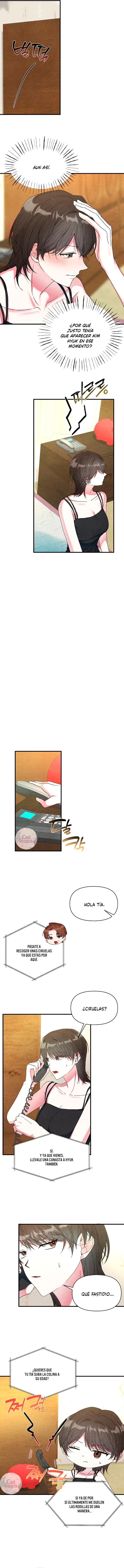 2 A mi albaricoquero