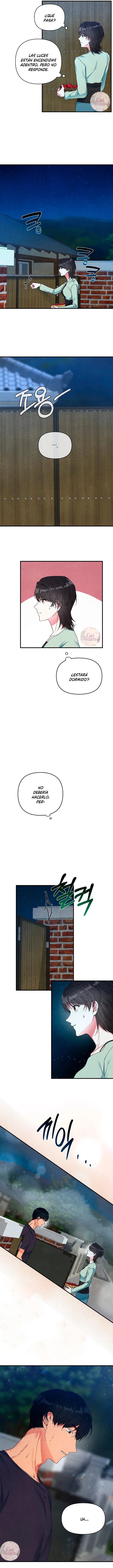 5 A mi albaricoquero