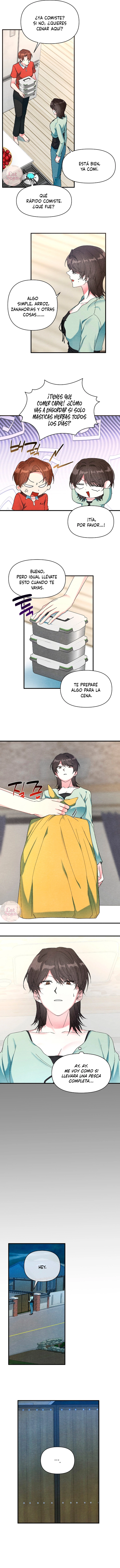 4 A mi albaricoquero