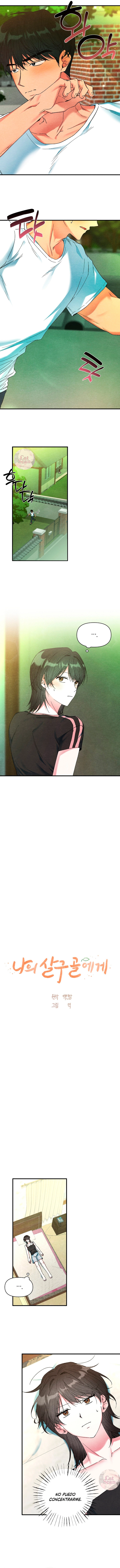 1 A mi albaricoquero