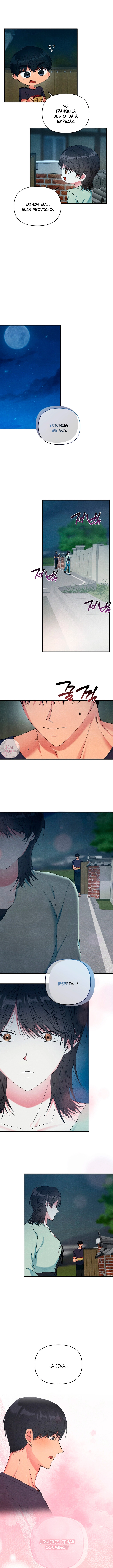 7 A mi albaricoquero