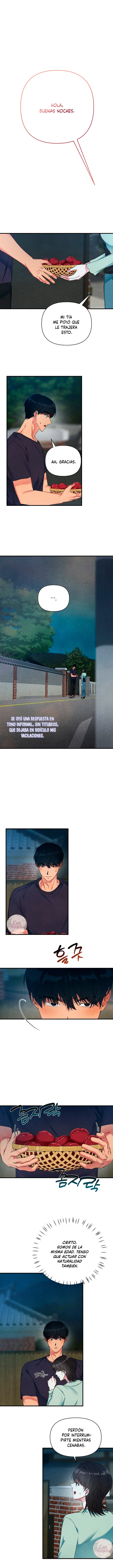 6 A mi albaricoquero