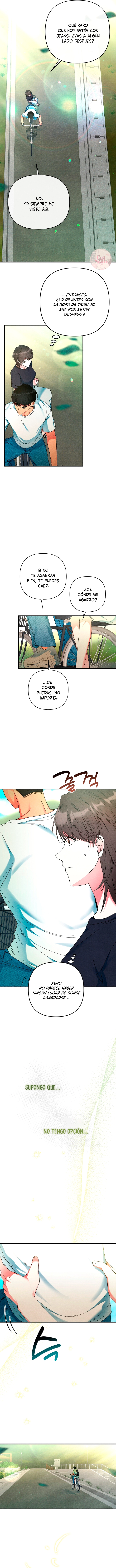 9 A mi albaricoquero