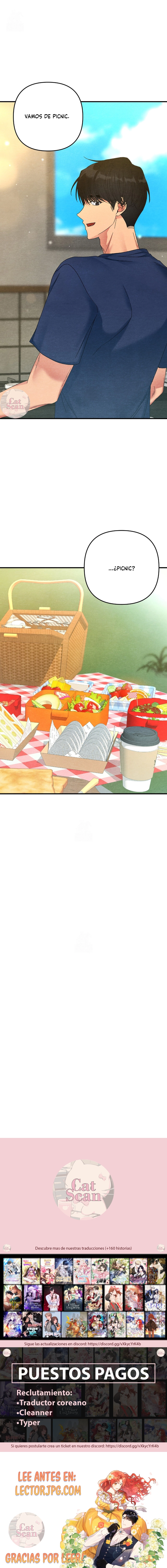 8 A mi albaricoquero