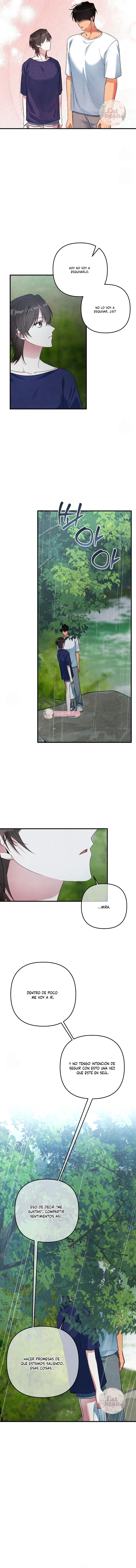 9 A mi albaricoquero