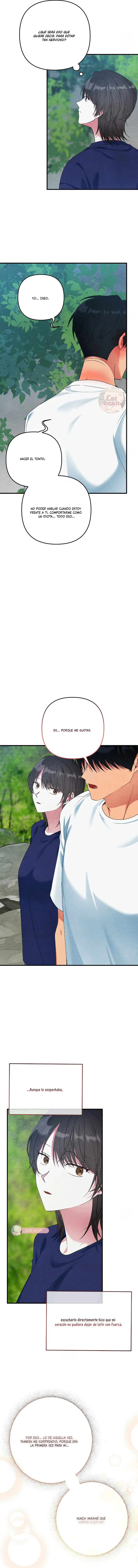 7 A mi albaricoquero