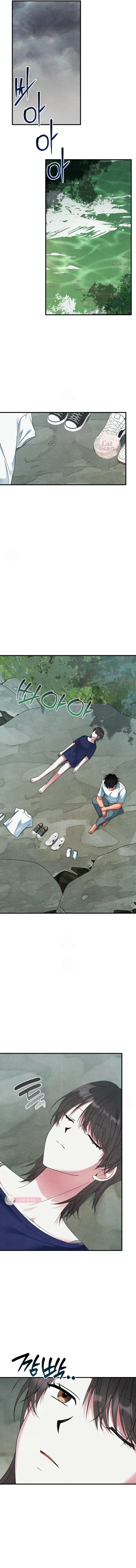 3 A mi albaricoquero