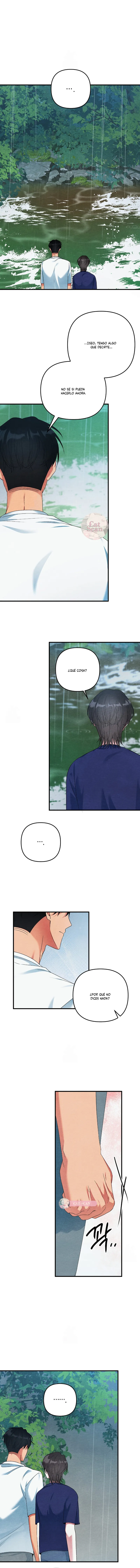 6 A mi albaricoquero