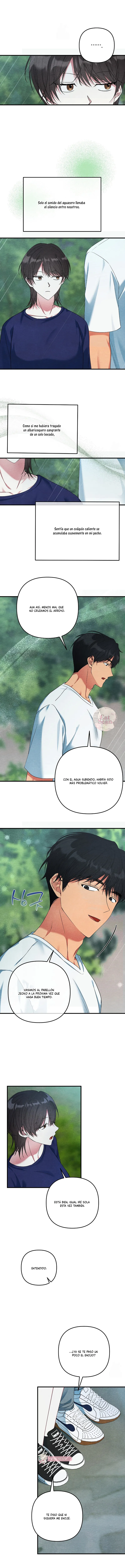 5 A mi albaricoquero