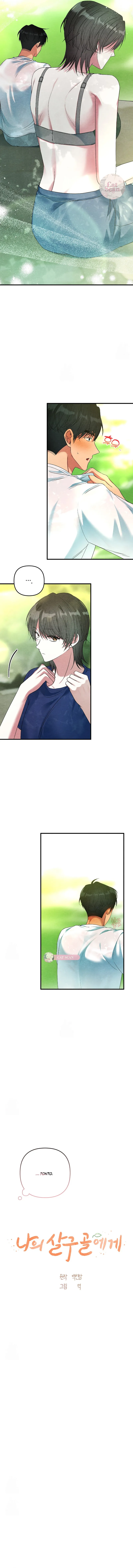 2 A mi albaricoquero