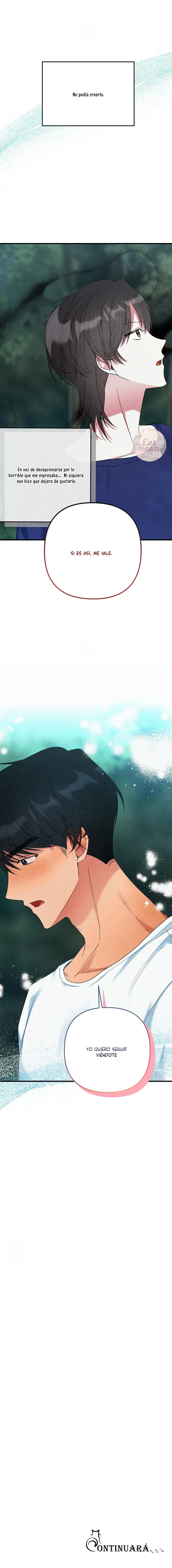 11 A mi albaricoquero