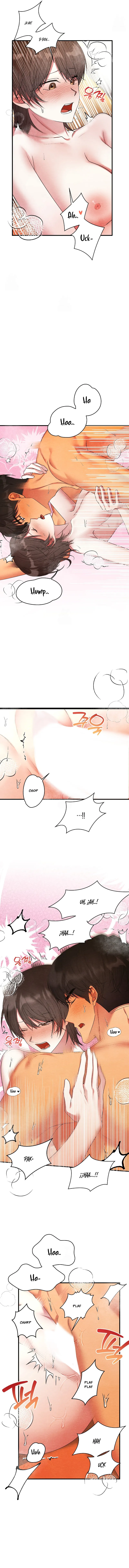 12 A mi albaricoquero