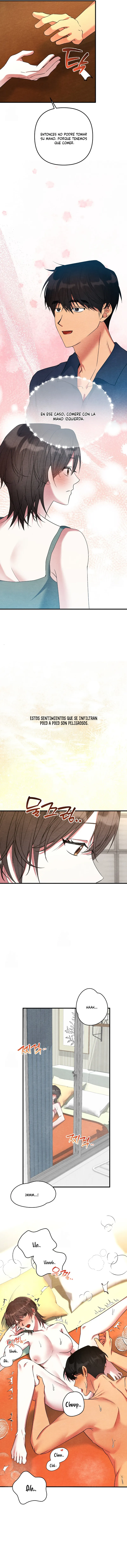 9 A mi albaricoquero