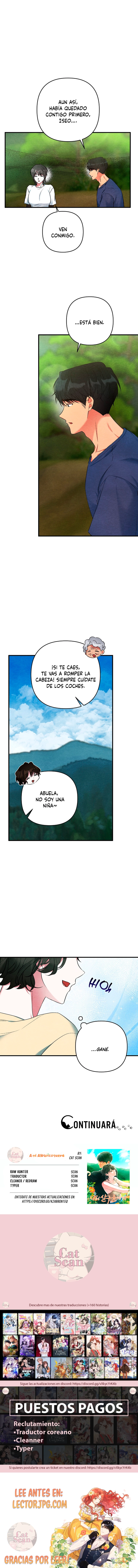 6 A mi albaricoquero