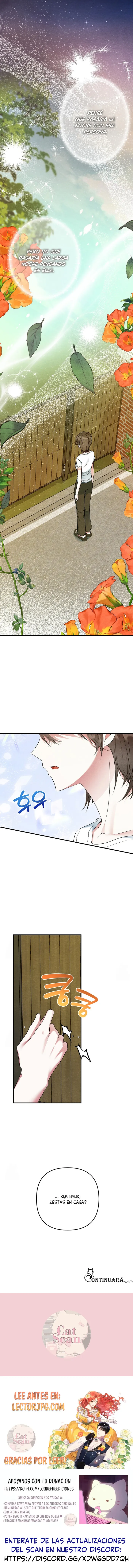 6 A mi albaricoquero