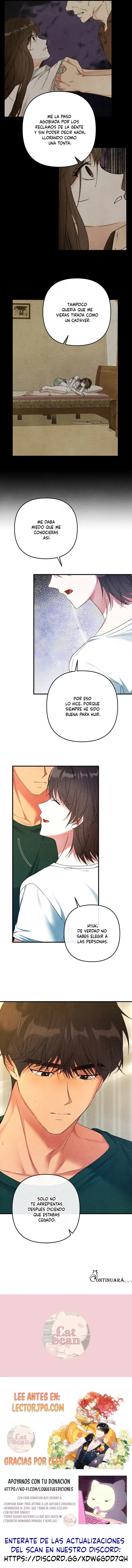 5 A mi albaricoquero