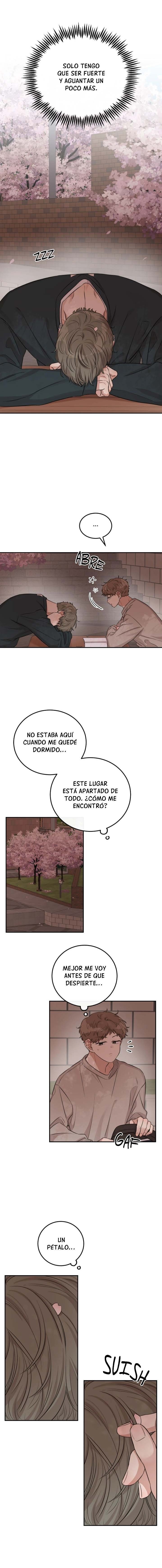 6 La paradoja del emparedado