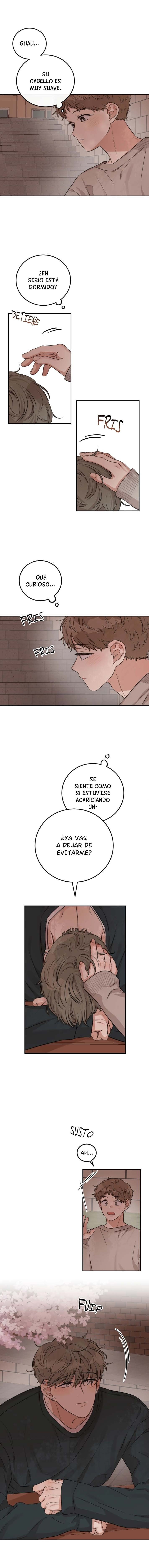 7 La paradoja del emparedado