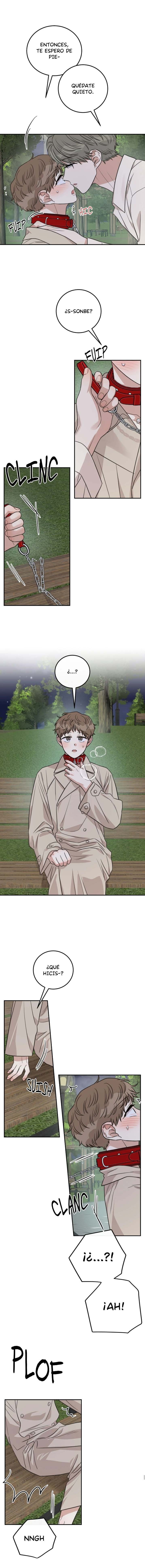 6 La paradoja del emparedado