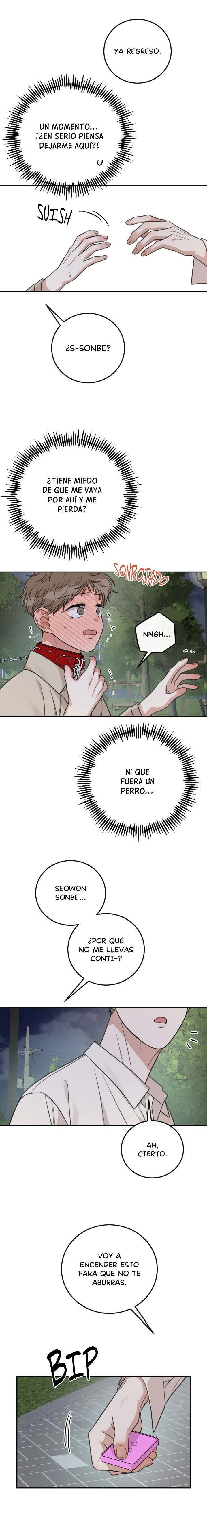 8 La paradoja del emparedado