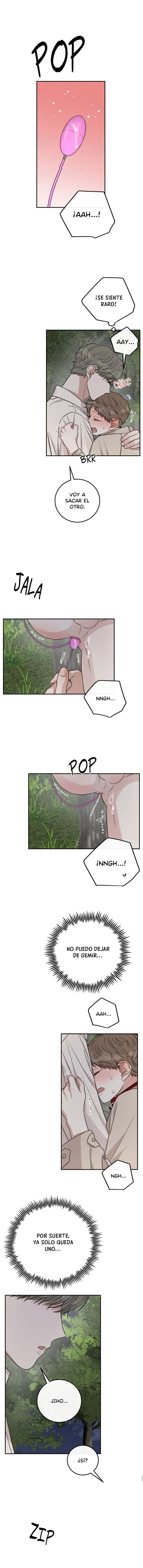 5 La paradoja del emparedado