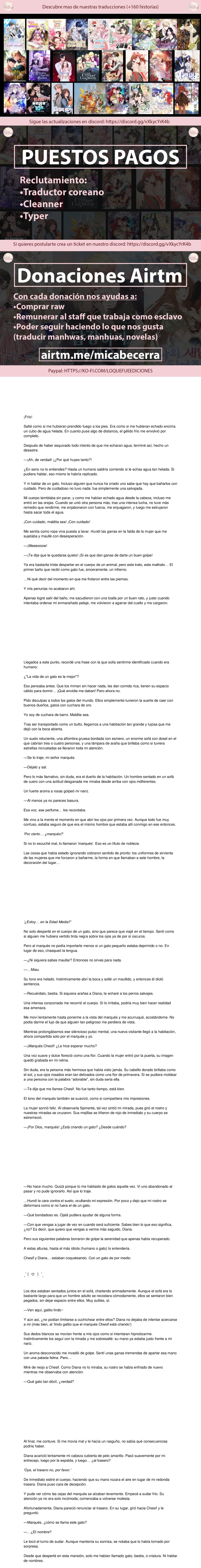 0 El gato está en huelga