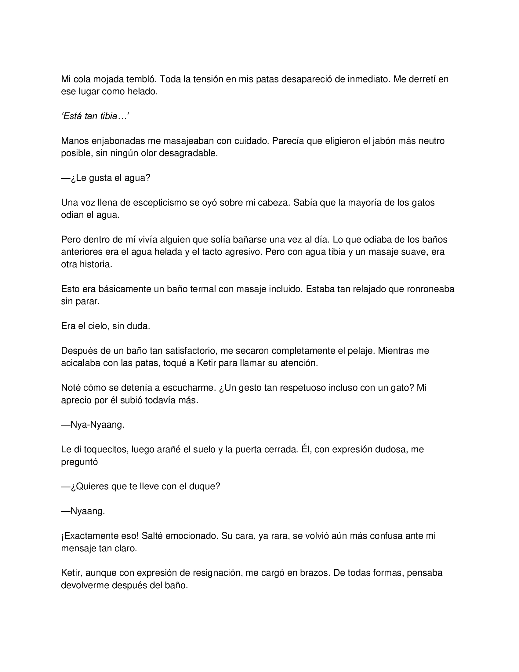 3 El gato está en huelga