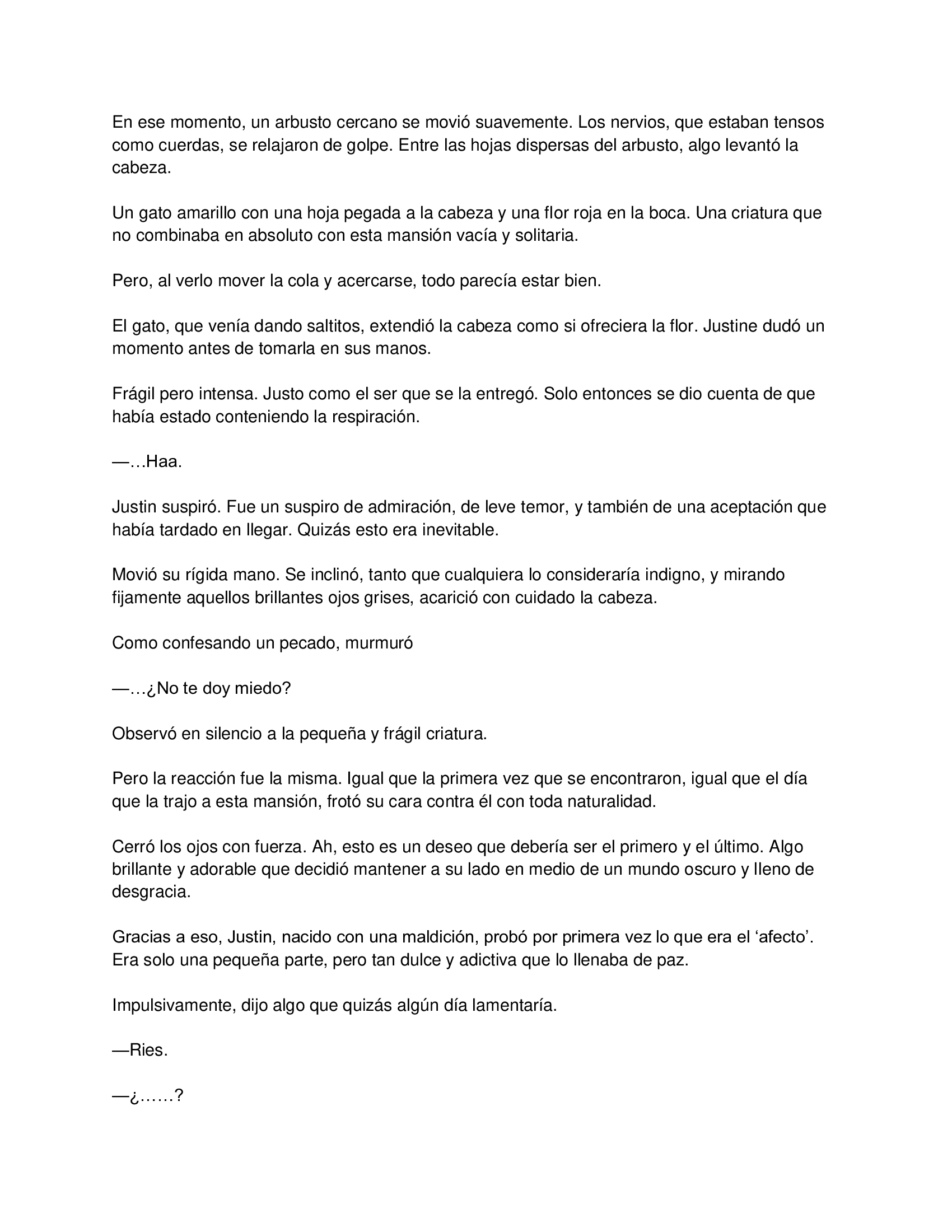 4 El gato está en huelga