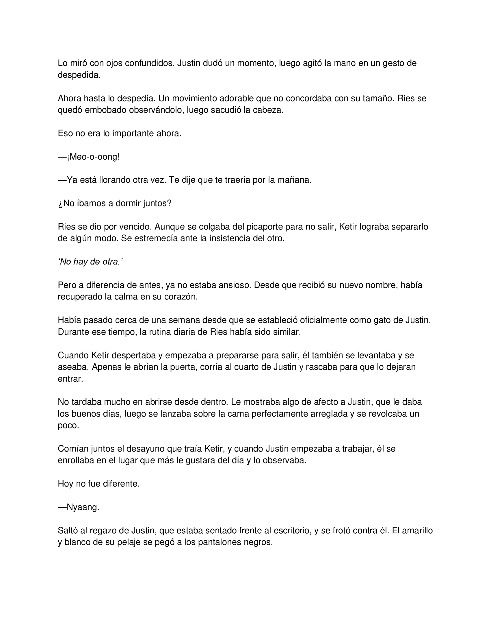 2 El gato está en huelga