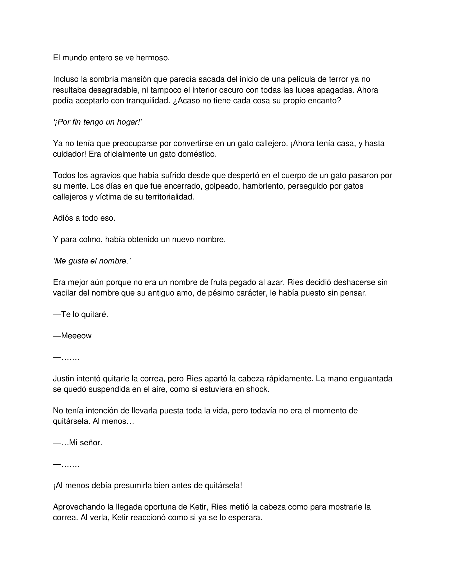 0 El gato está en huelga