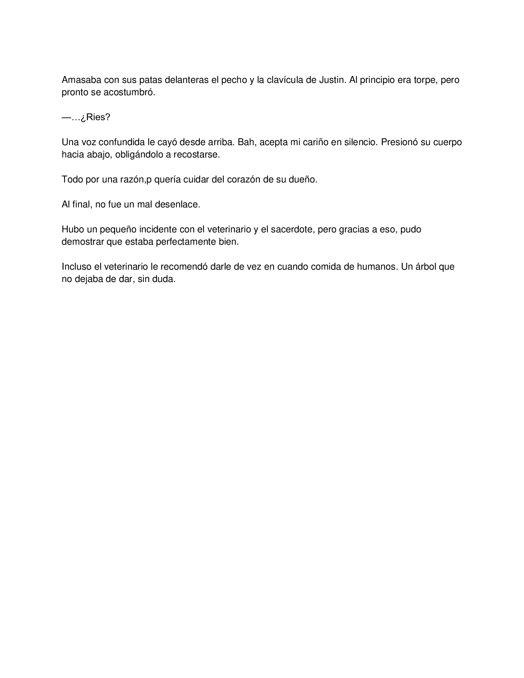 5 El gato está en huelga