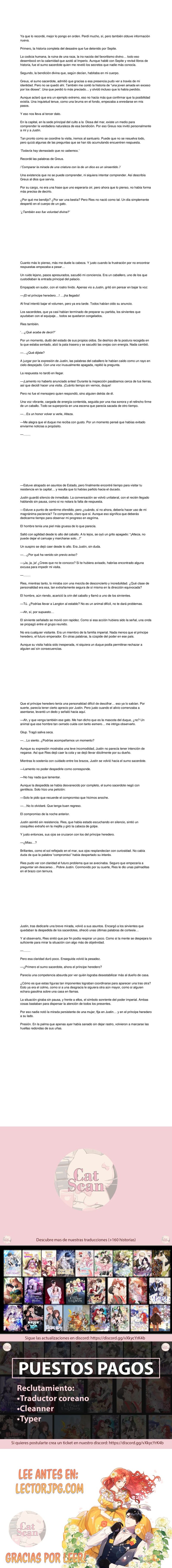 0 El gato está en huelga