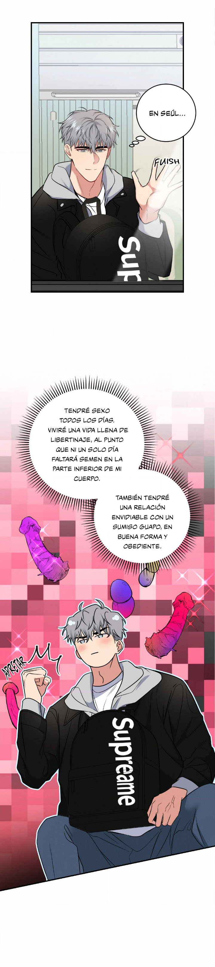 12 Compañero Invisible