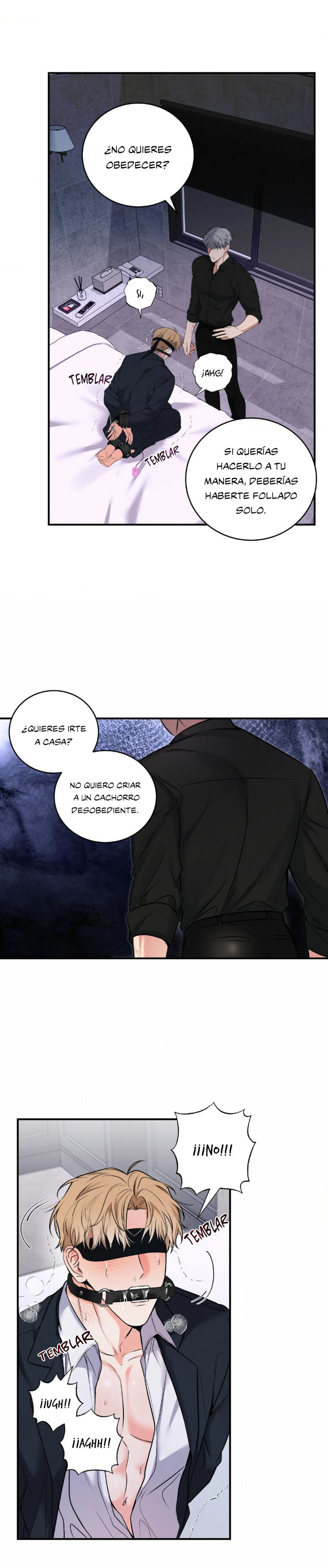 5 Compañero Invisible