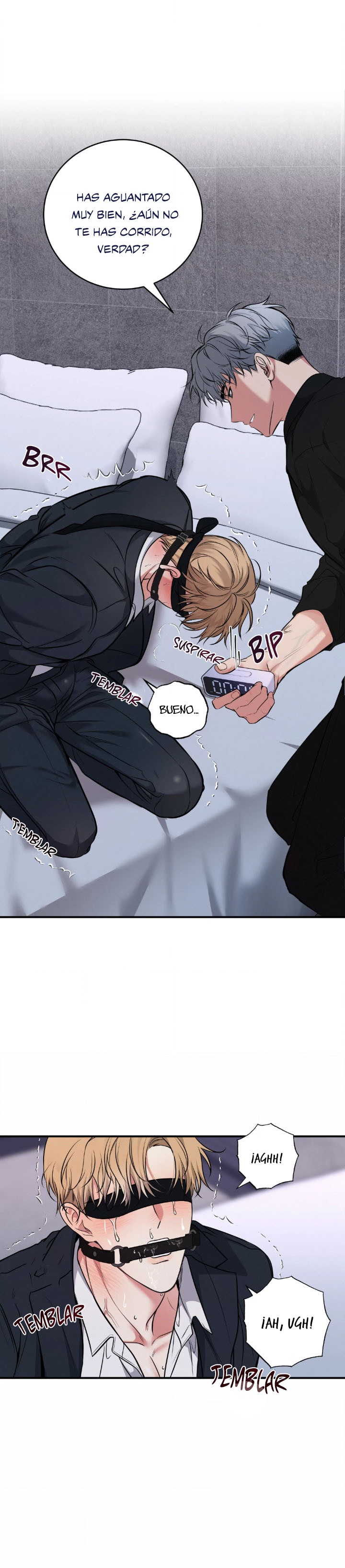 3 Compañero Invisible