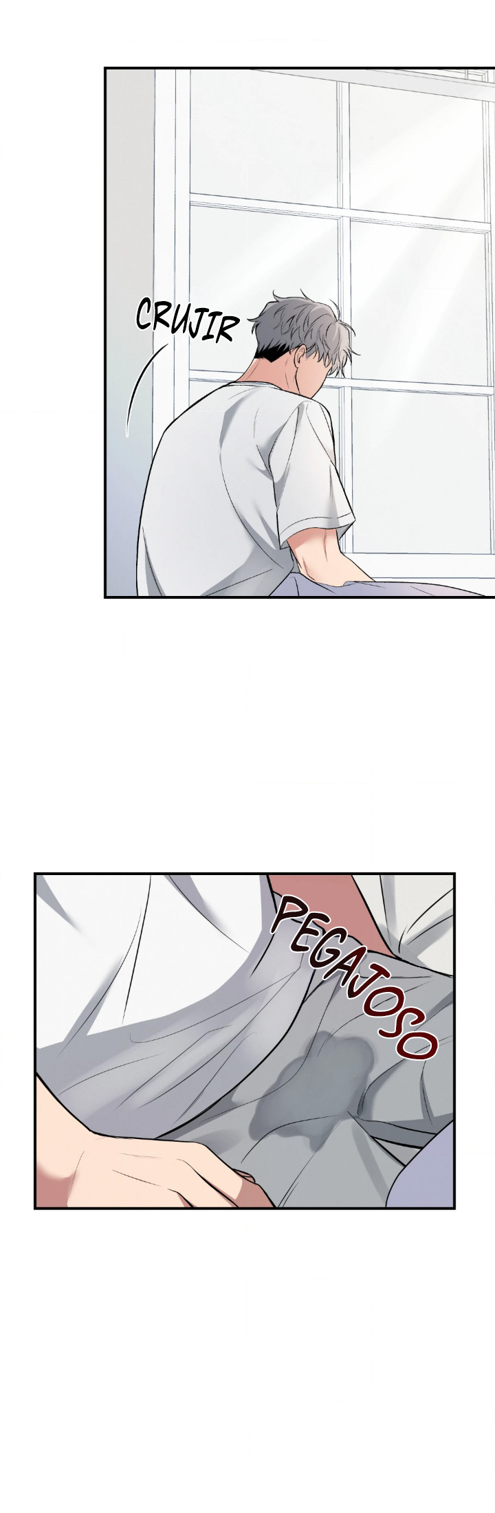 16 Compañero Invisible