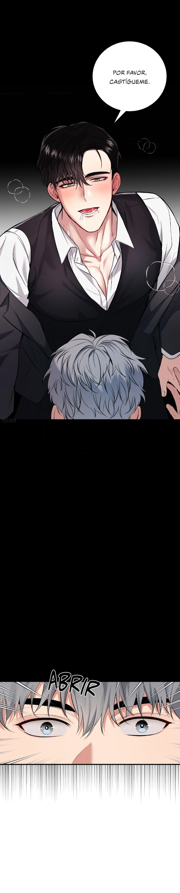 15 Compañero Invisible