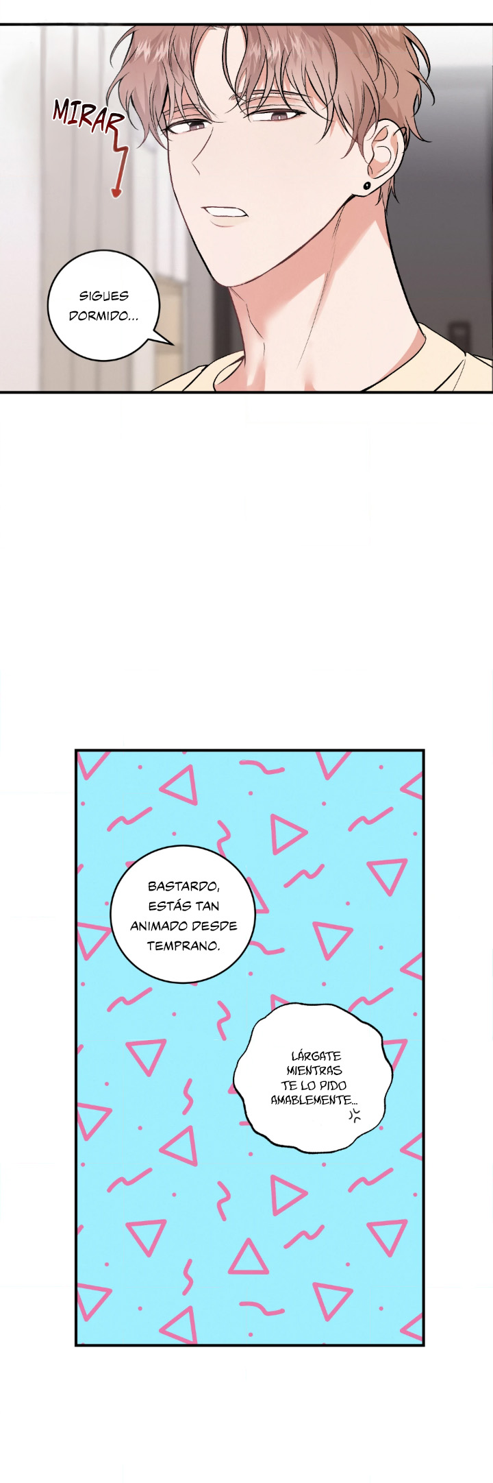 19 Compañero Invisible