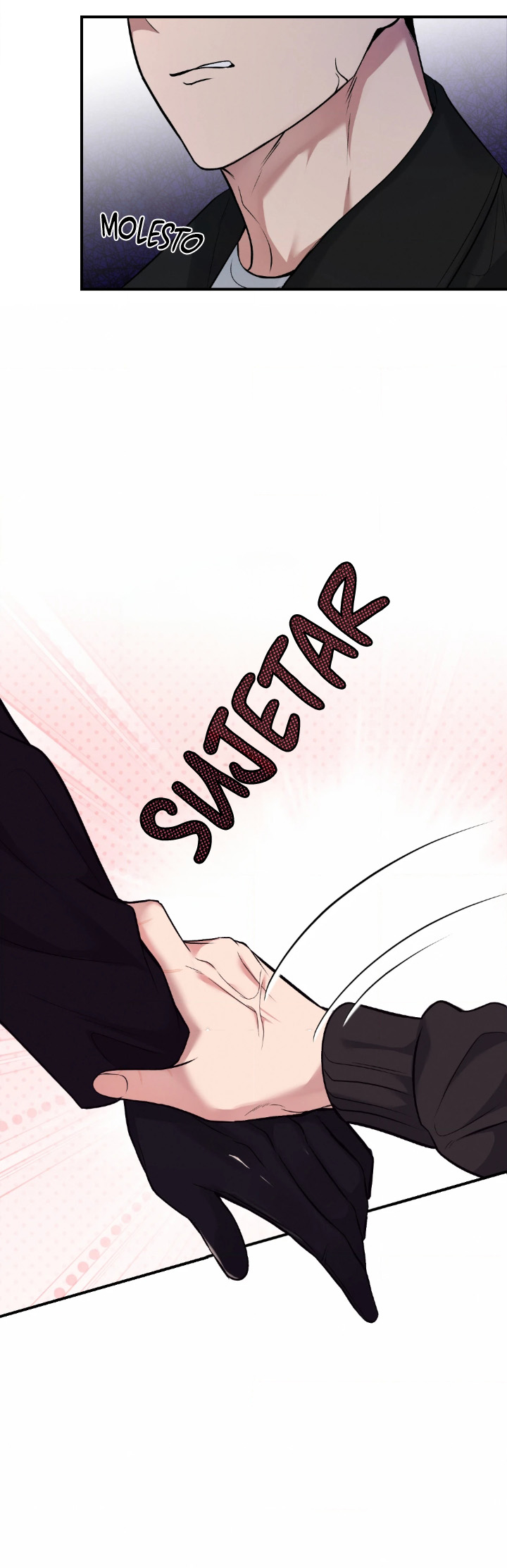 5 Compañero Invisible