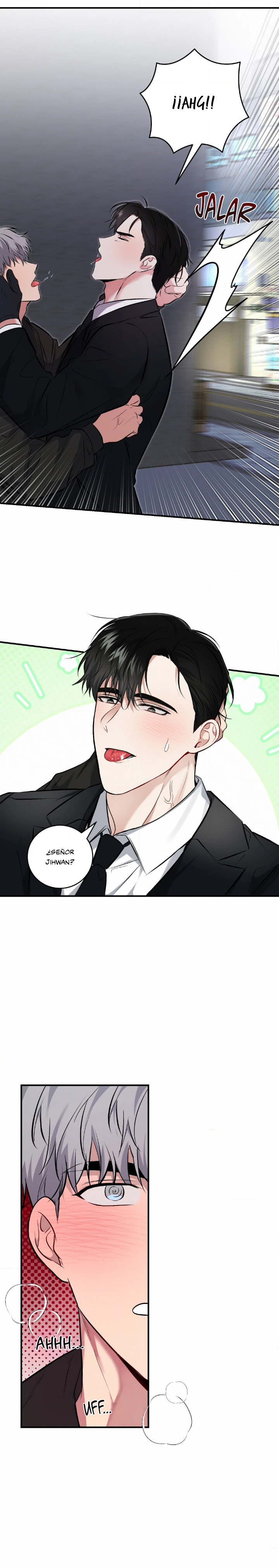 14 Compañero Invisible