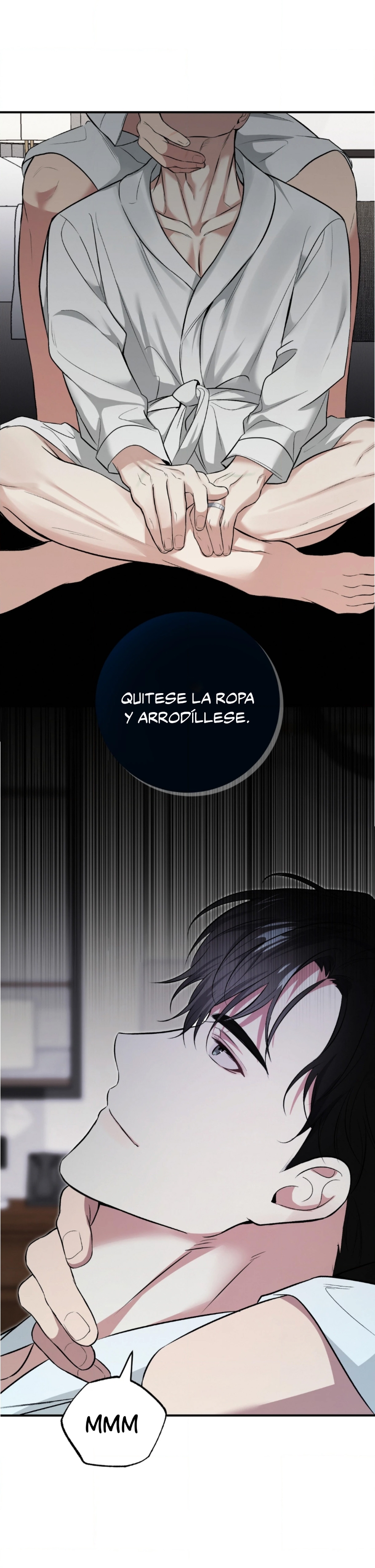 3 Compañero Invisible