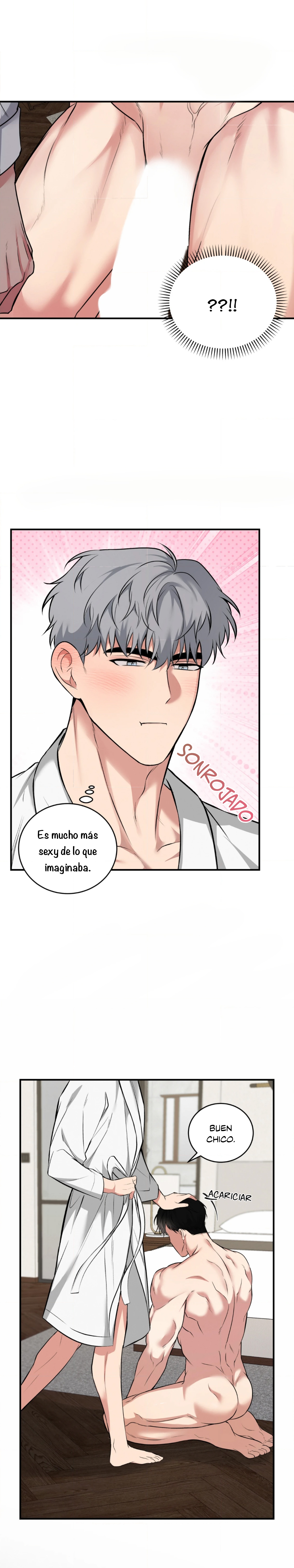 6 Compañero Invisible