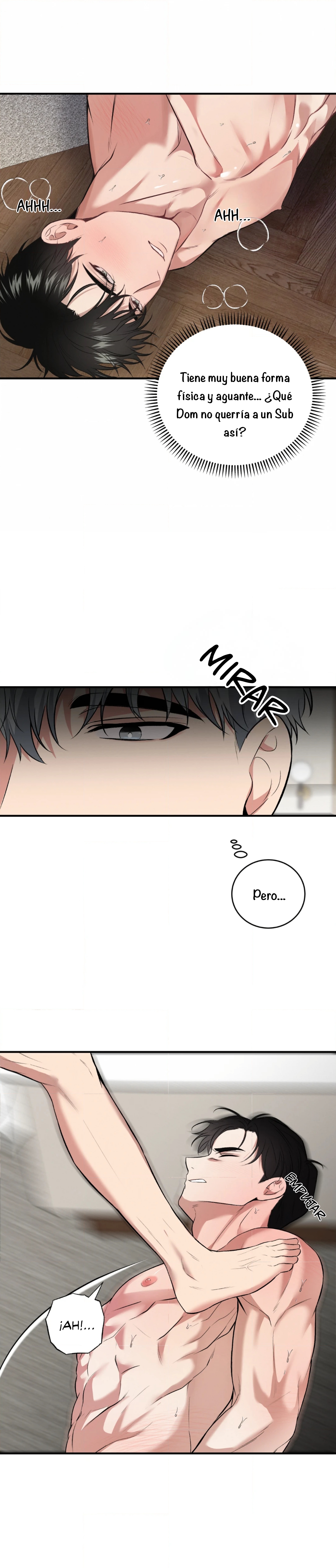 22 Compañero Invisible