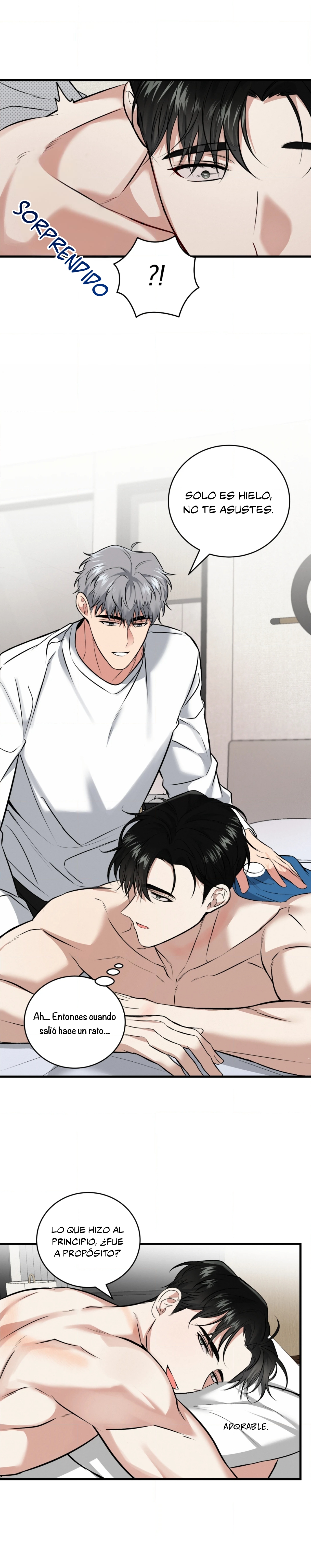 17 Compañero Invisible