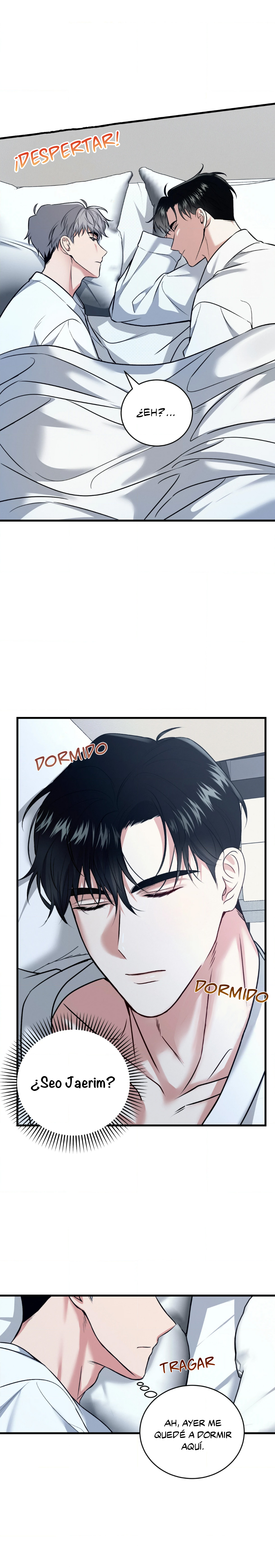 8 Compañero Invisible