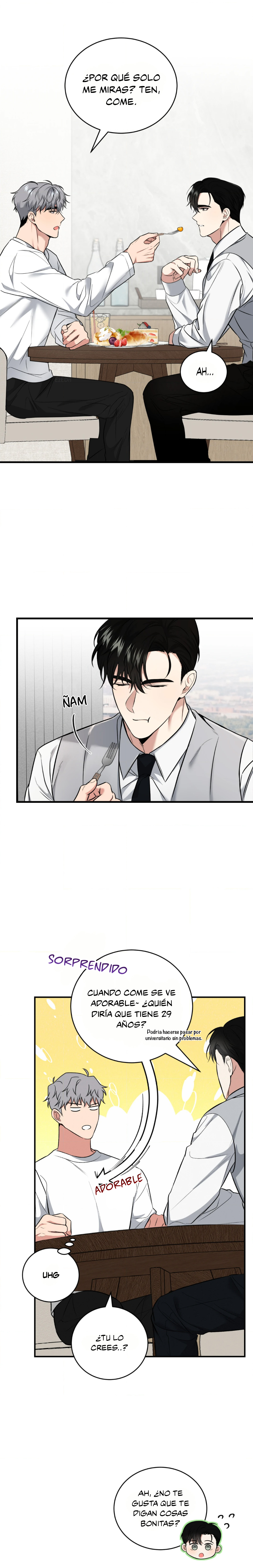 14 Compañero Invisible