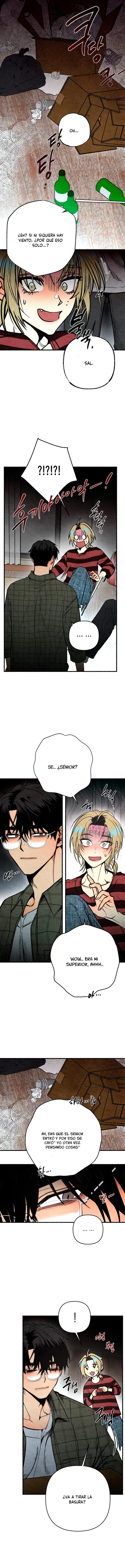 15 Cuentos extraños de las cuatro estaciones