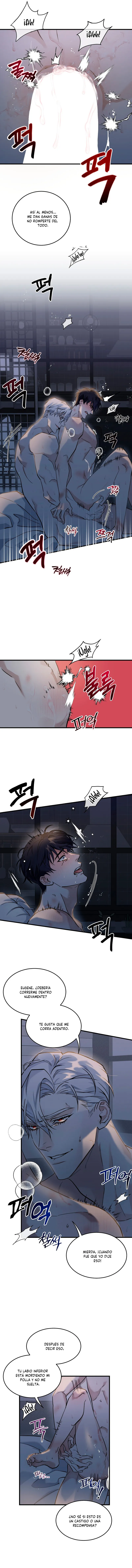 4 Fragmentos de luna