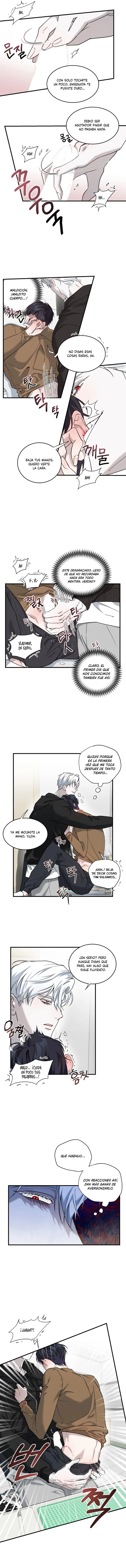 8 Fragmentos de luna